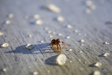 看著窗外下起了大雨,今天在家好好休息