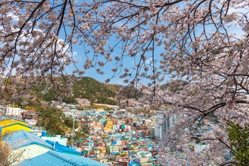 雲哥跟你說:下回你有去韓國玩記得多 "花" 點時間在甘川