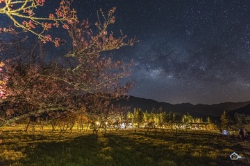 櫻 為快樂會永久,像不變星空陪著我