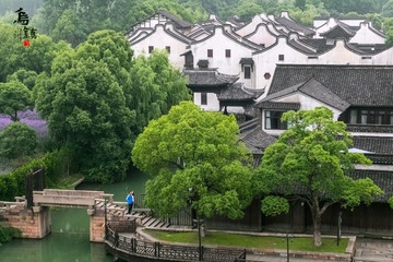 早起的烏鎮,如有個人可以陪襯,那真的是幸福滿分