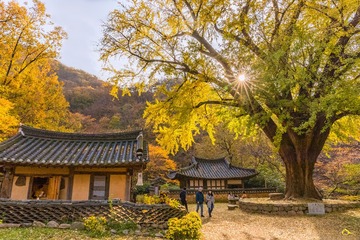 雲哥泡的茶 苦中回甘味道還不差