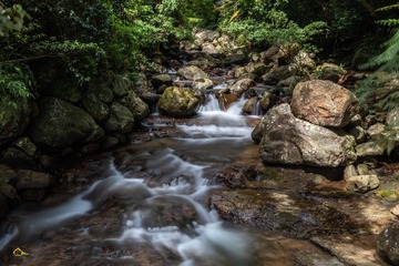 寧靜的夏天 雙腳泡在溪流邊