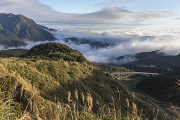一早看雲去 好療癒