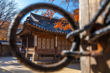 首爾圈