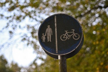 DSC_0176.jpg