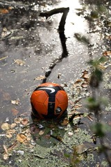 DSC_0233.jpg