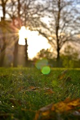 DSC_0192.jpg
