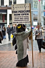 DSC_0247.jpg