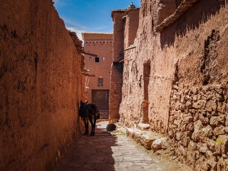 P4010281-编辑.jpg