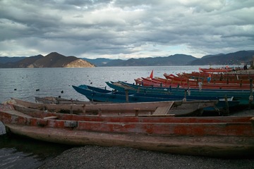 SDIM0595