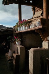 SDIM0583