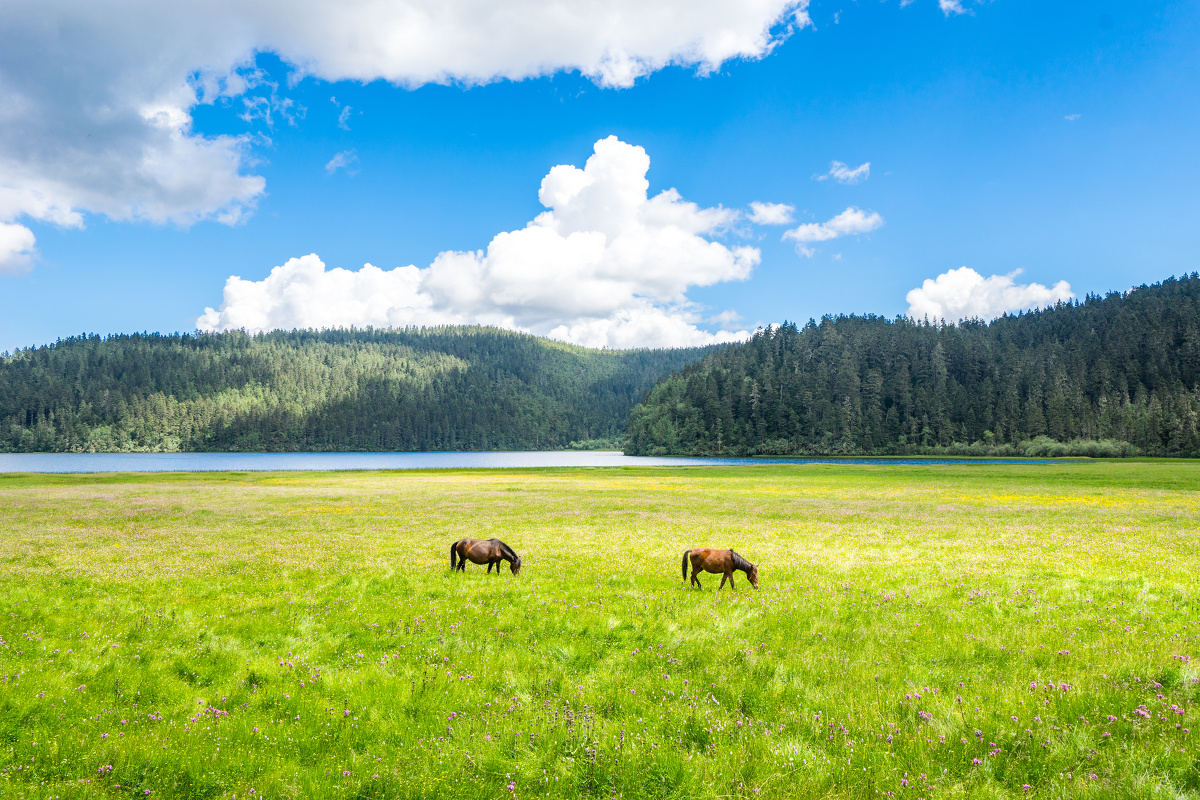 普拉错,藏语普渡众生到达彼岸之意.