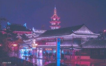 DSC06305