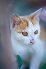 IMG_8157.jpg