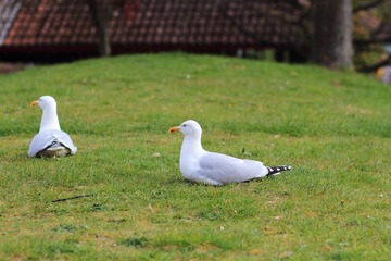 IMG_4958.JPG