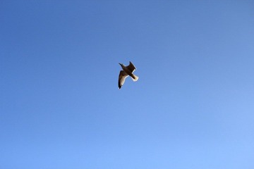 IMG_4988.JPG