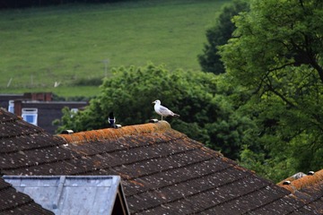 IMG_5699.JPG