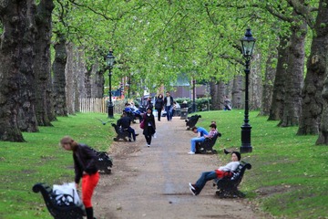 DPP_0100.JPG