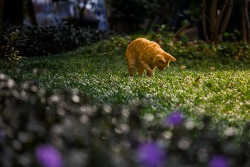 15221