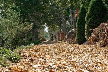 shanxi 084.jpg