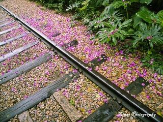 DSCN0401A