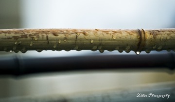 DSC00965B