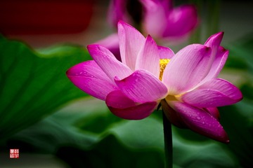 DSC01020A