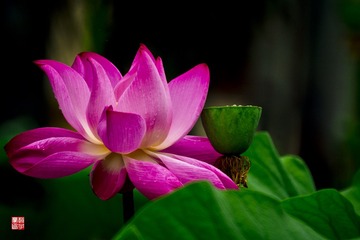 DSC01024A
