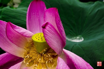DSC01040A