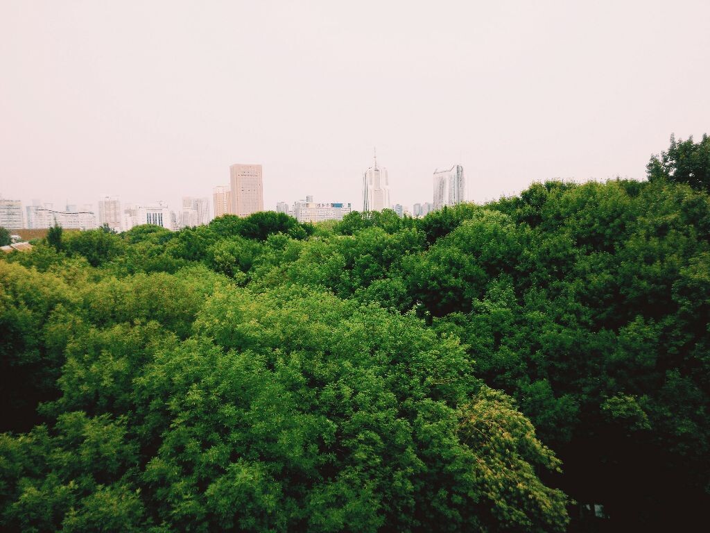 林山林海
