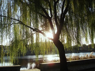 DSC00002.JPG