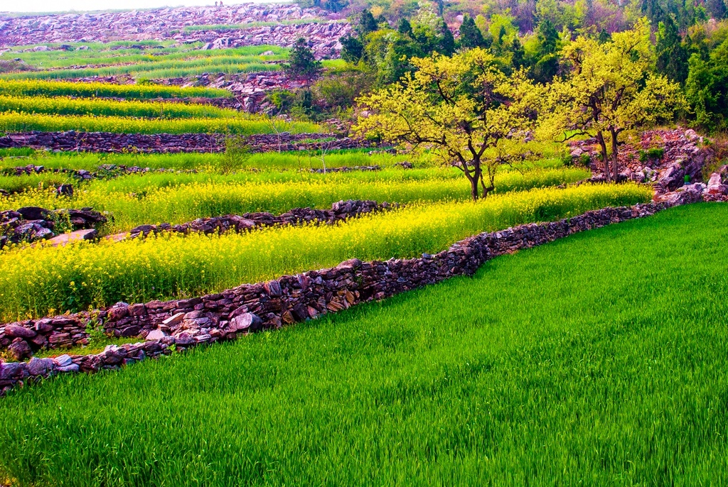 北郊 蓝湖水库 渔舟南阳 蓝湖水库 野渡无人南阳 北郊 赵庄水库 日