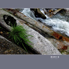 听泉