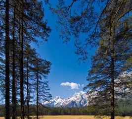 LCL_5479-1