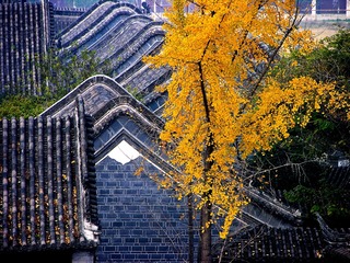 花洲书院 (1)