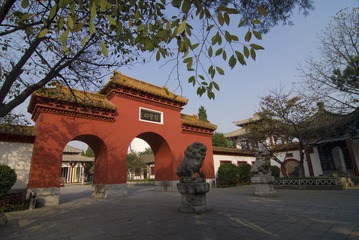 _LCL3626