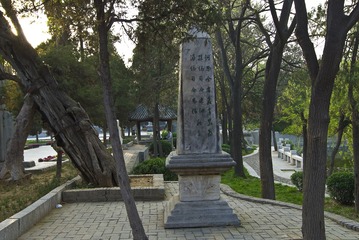 LCL_6781