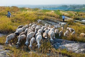 _DSC0166