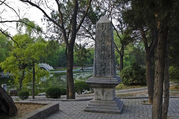 LCL_6782