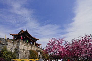 LCL_5250