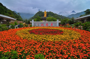 “_LMY0562”为智能对象-1