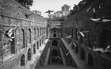 _DSF0051