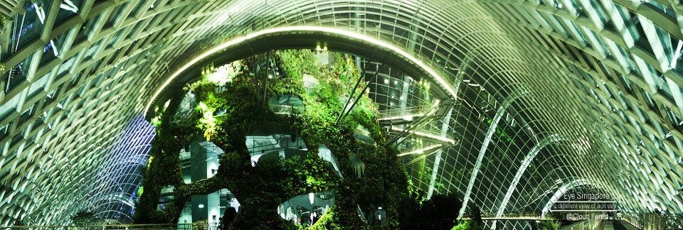 Garden by the bay_Cloud Forest<br />
