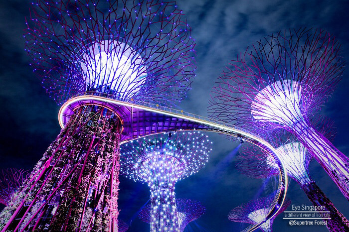 Garden by the bay_Supertree Groove_Singapore<br />
