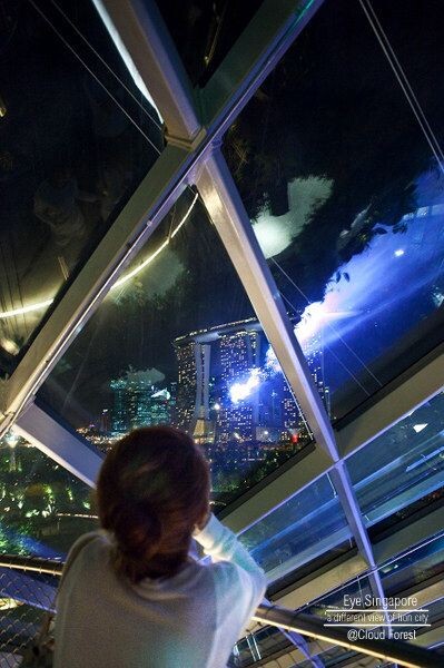Moon &amp; Cloud_Garden by the bay_Singapore<br />
