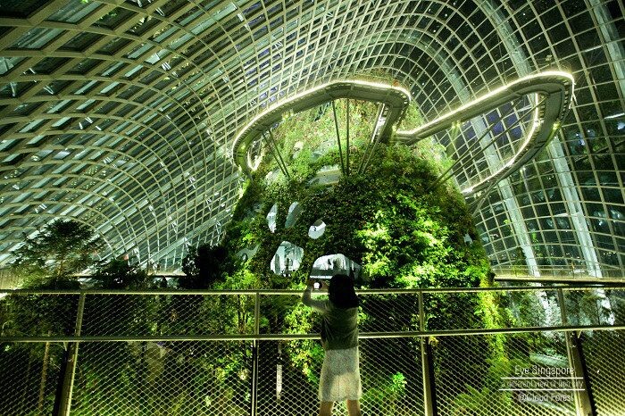 A world of dream, A world of plants_Cloud Forest_Garden by the bay<br />
