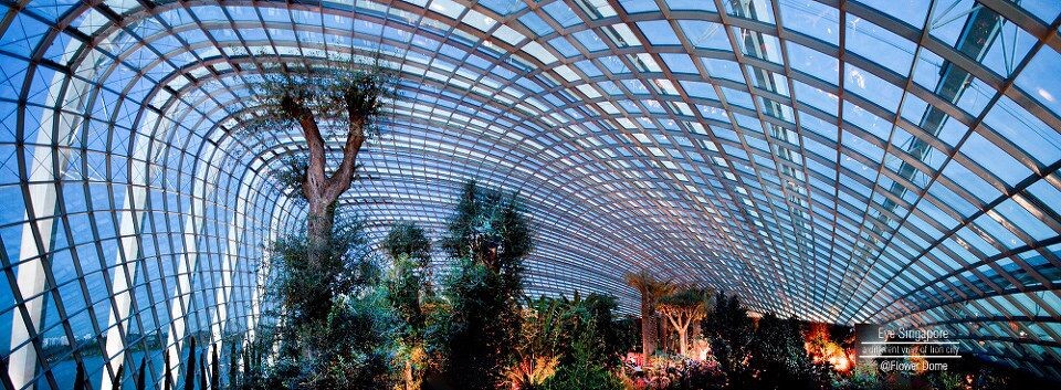 Flower Dome_Garden by the bay_Singapore<br />
