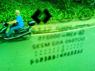 WP_000487.jpg