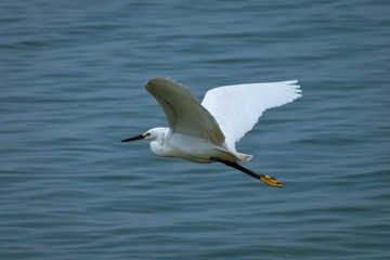 DSC01027.jpg