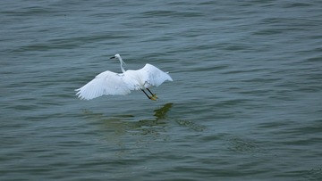 DSC01054.jpg